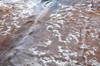 Image 2 of Tricolour Nguni Cowhide Rug