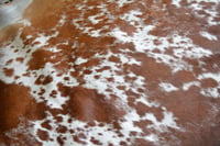 Image 3 of Tricolour Nguni Cowhide Rug