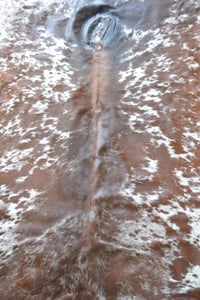 Image 5 of Tricolour Nguni Cowhide Rug