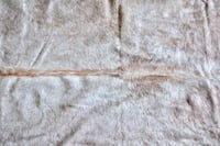 Image 2 of Light Taupe Nguni Cowhide Rug