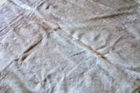 Image 1 of Light Taupe Nguni Cowhide Rug