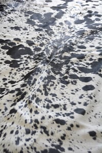 Image 1 of Black & White Nguni Cowhide Rug