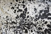 Image 4 of Black & White Nguni Cowhide Rug