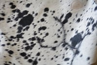Image 2 of Black & White Nguni Cowhide Rug