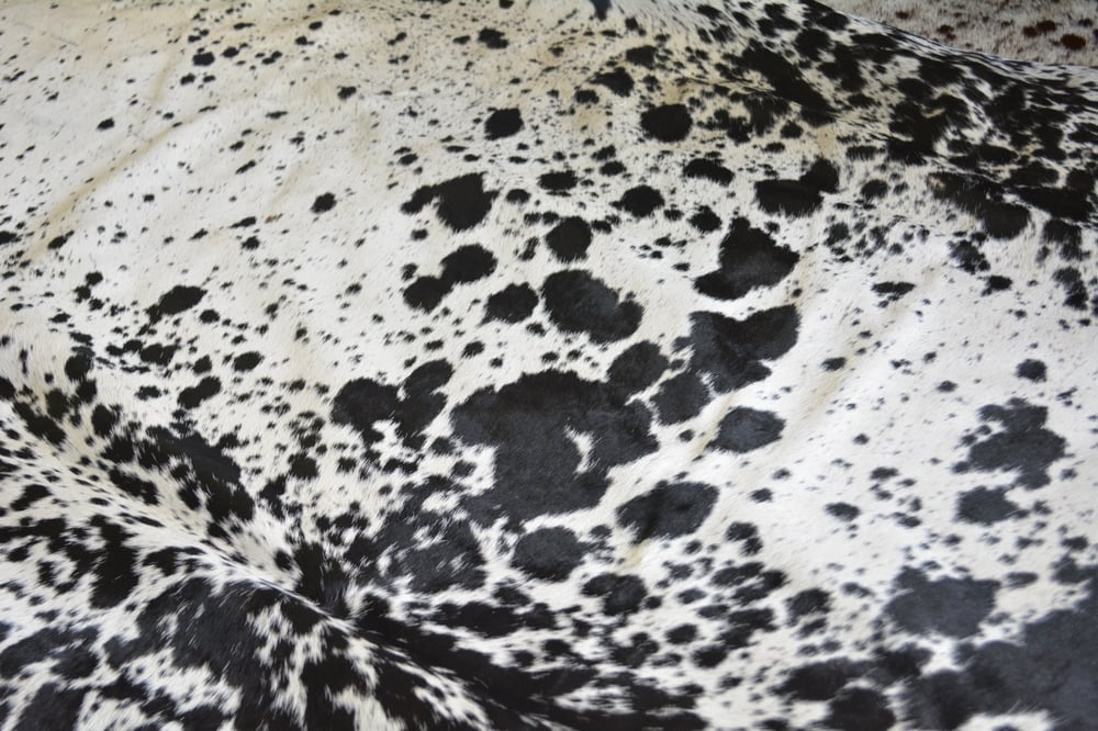 Black White Nguni Cowhide Rug Herd Of Ubuntu black-white-nguni-cowhide-rug-herd-of-ubuntu