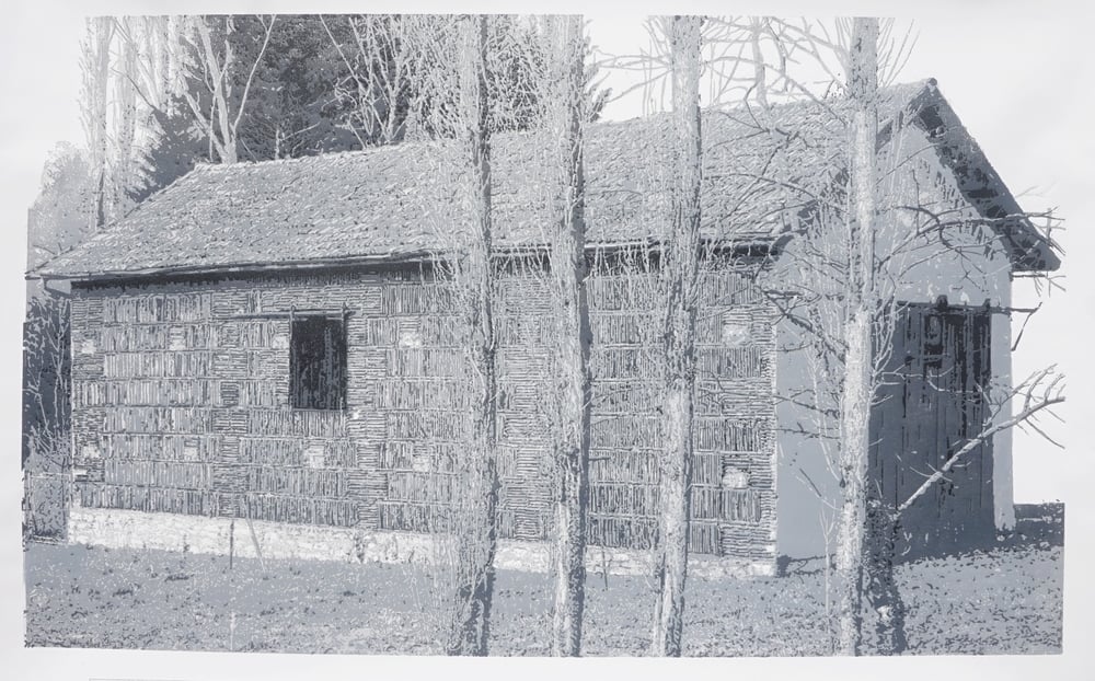 Image of Cabane in the wood