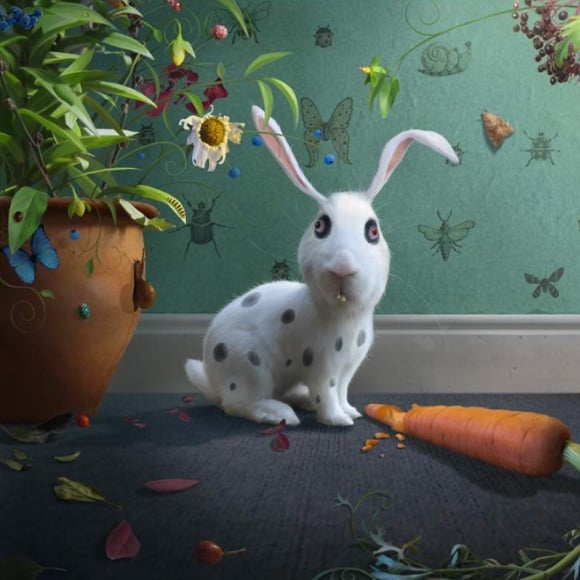 Image of Mr Rabbit