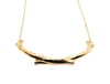 coyote necklace