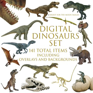 Image of Digital Dinosaurs Set