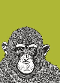 'chimp peace' avacado 