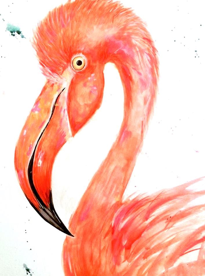 Image of Flaminco Dos 