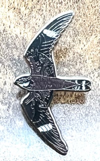 Image 2 of Common Nighthawk - No.136 - UK Birding Series