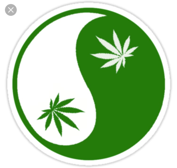 Image of Ying Yang Weed Leaf