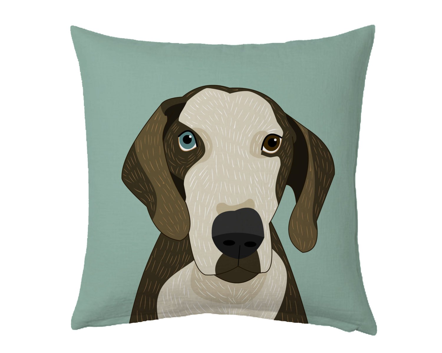 Pet portrait Pillow