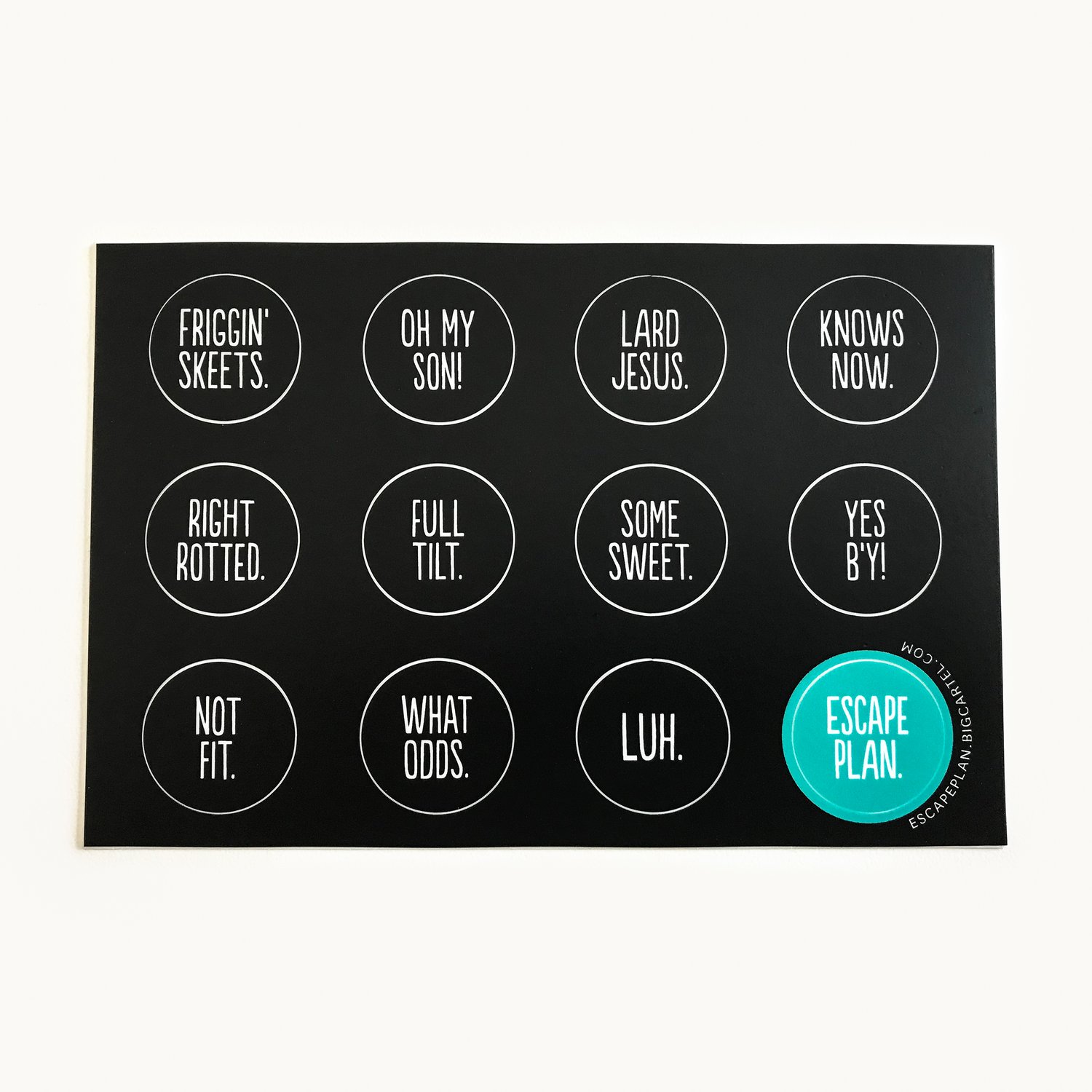 Image of 4 x 6 Sticker Sheet