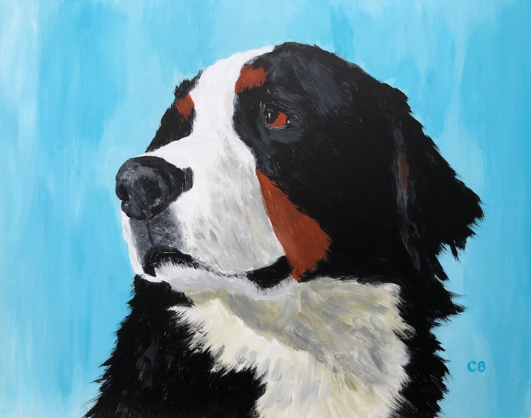 Bernese Mountain Dog acrylic painting | CBurkeArtwork