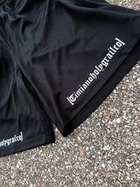 Image 5 of [STAPLE LOGO SHORTS]