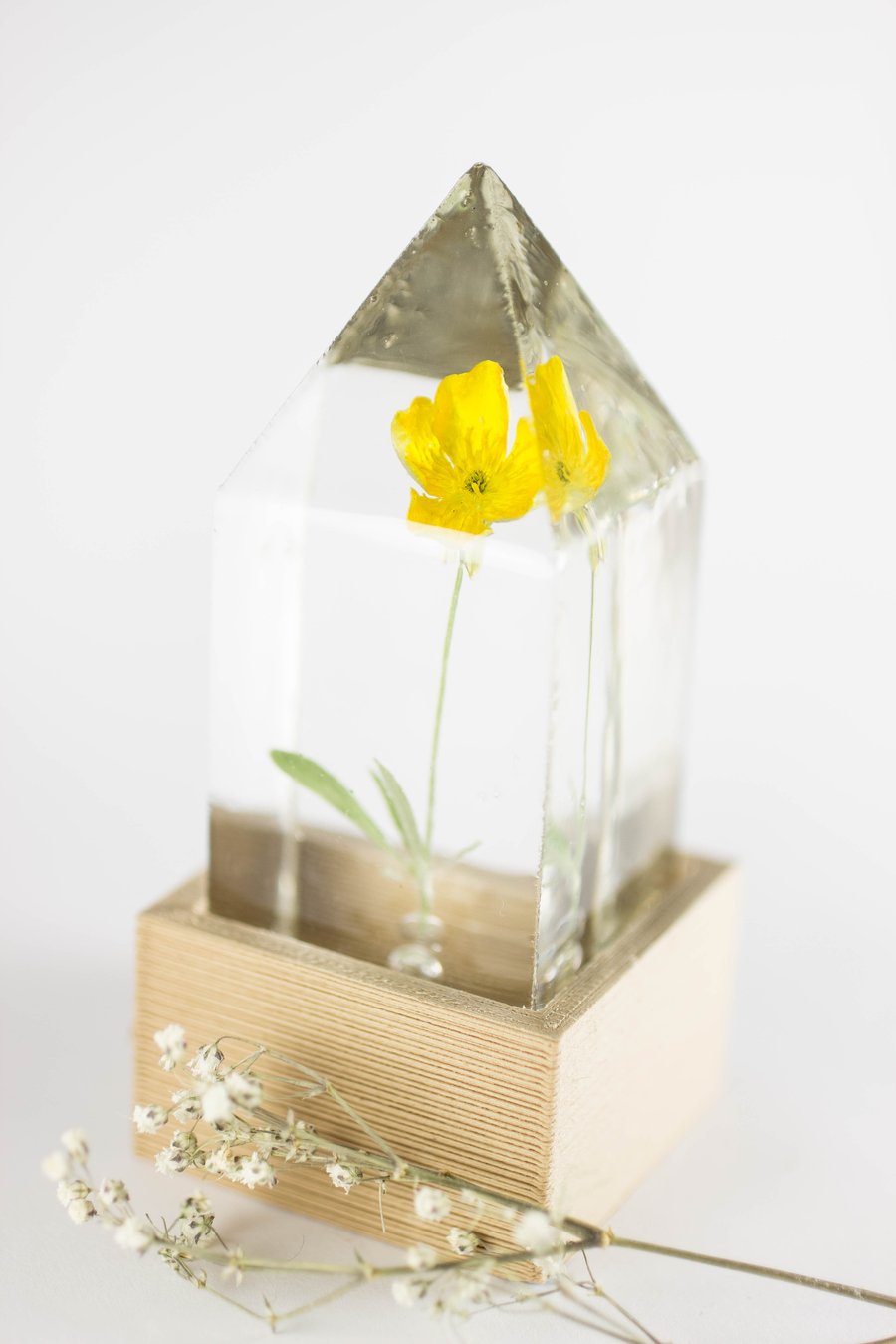 Image of Buttercup (Ranunculus acris) - Floral Prism Desk Light #1