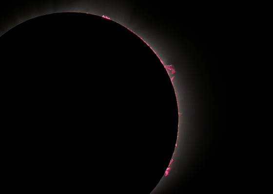 Image of Prominences - Solar Eclipse Totatlity 2017