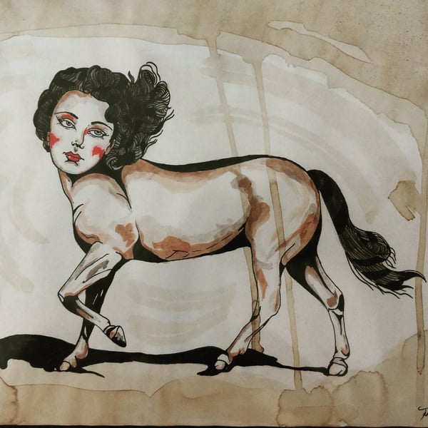 Image of Centaurette
