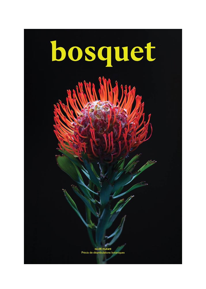 Image of Bosquet no.05 mutant