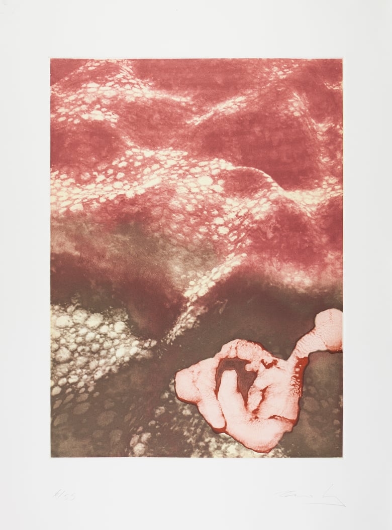 DARÍO URZAY edicionsmaior