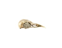 Image 2 of crow skull with fools gold eyes