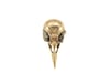 crow skull with fools gold eyes