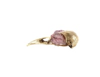 Image 3 of crow skull with amethyst eyes