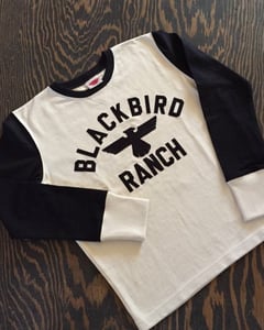 Image of New! BLACKBIRD RANCH RACING JERSEY