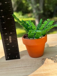 Image 2 of Mini Beaded Fern in Terracotta Pot
