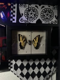 Image 2 of Paramore Butterfly 