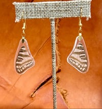 Image 1 of African Map Forewings