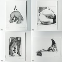 Image 2 of PRINTS  - VOLUME 1