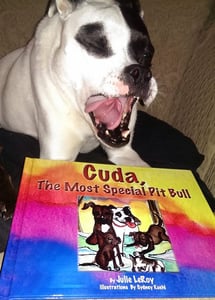 Image of Cuda, The Most Special Pit Bull