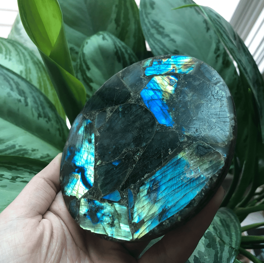Image of Magical Labradorite Disc Plate (with stand)