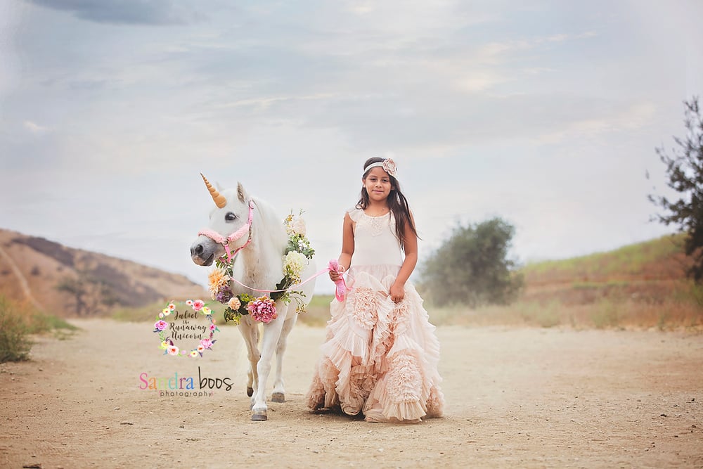 Image of July 31st, Bridgehampton, N.Y. Unicorn Sessions $550.00. Deposit to hold spot $200.00