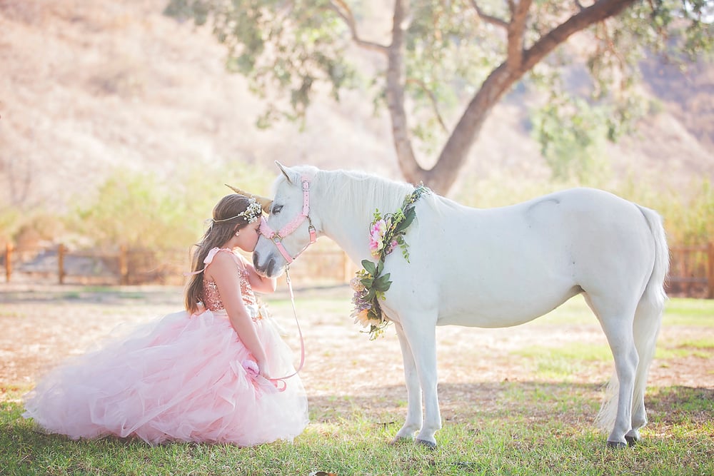 Image of August 1st, Bridgehampton, N.Y. Unicorn Sessions $550.00. Deposit to hold spot $200.00