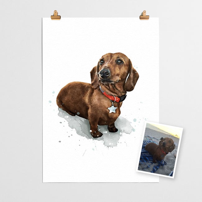 Custom Pet Portrait
