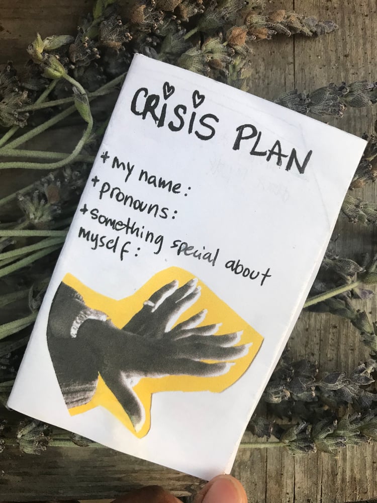 Image of Crisis Plan Mini Zine