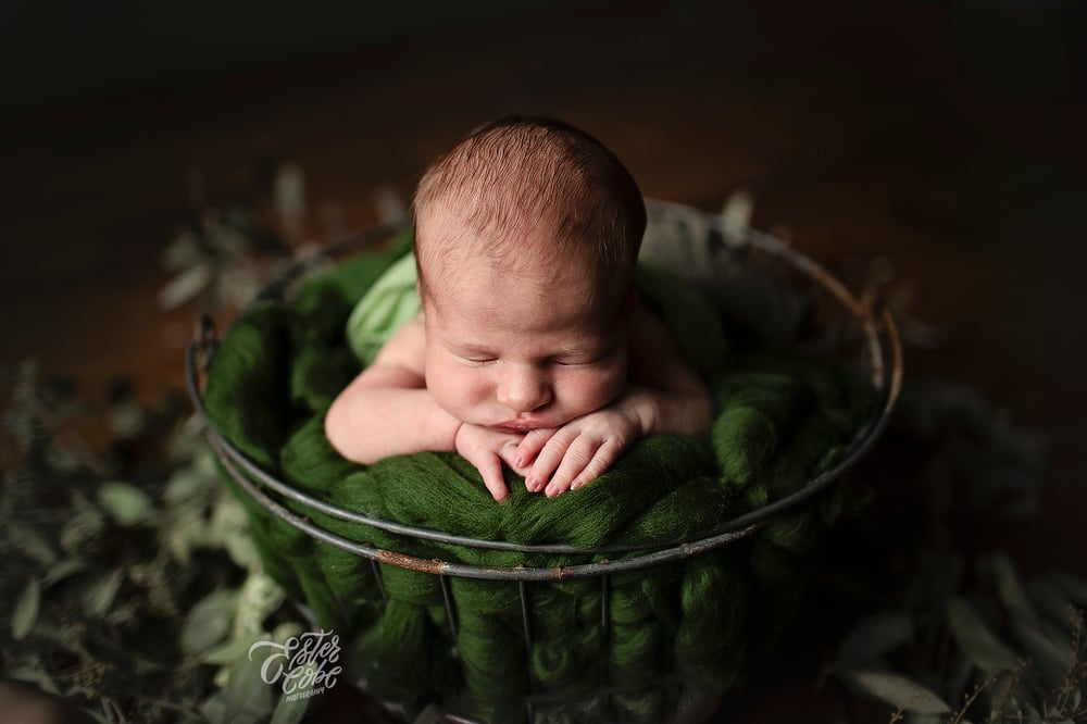 Image of Deposit for POSED Newborn // ADD on to Lifestyle Session