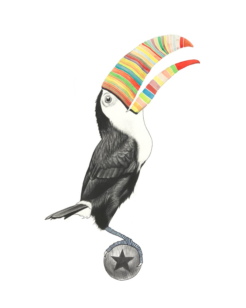 Image of Rainbow Toucan (Open Edition Print)