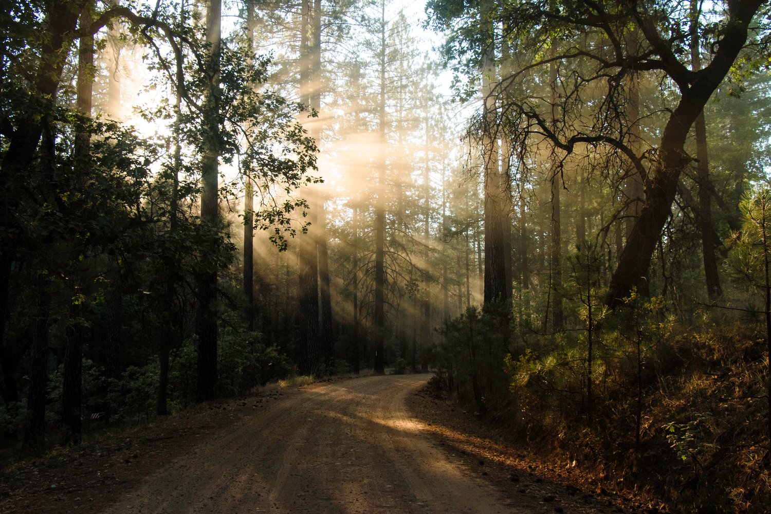 Image of Yosemite