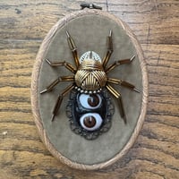 Image 4 of Speyeder (c, 4x5 inches)
