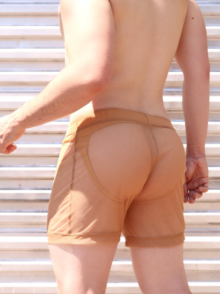 Image of THE VOYEUR SHORT