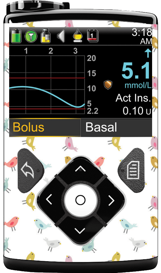 Image of Birds Medtronic Minimed 600/700 series