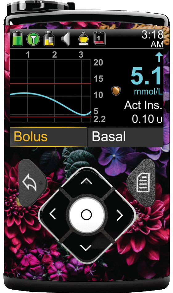 Image of Hydrangea Blossoms Medtronic Minimed 600/700 series