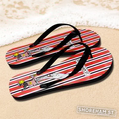 bertie flip flops