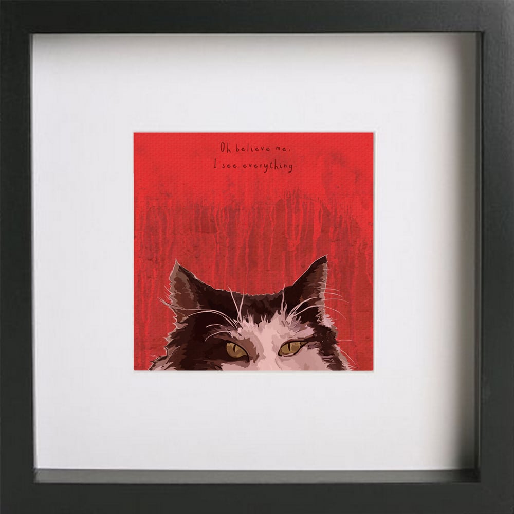 Image of Dolittle - Cat