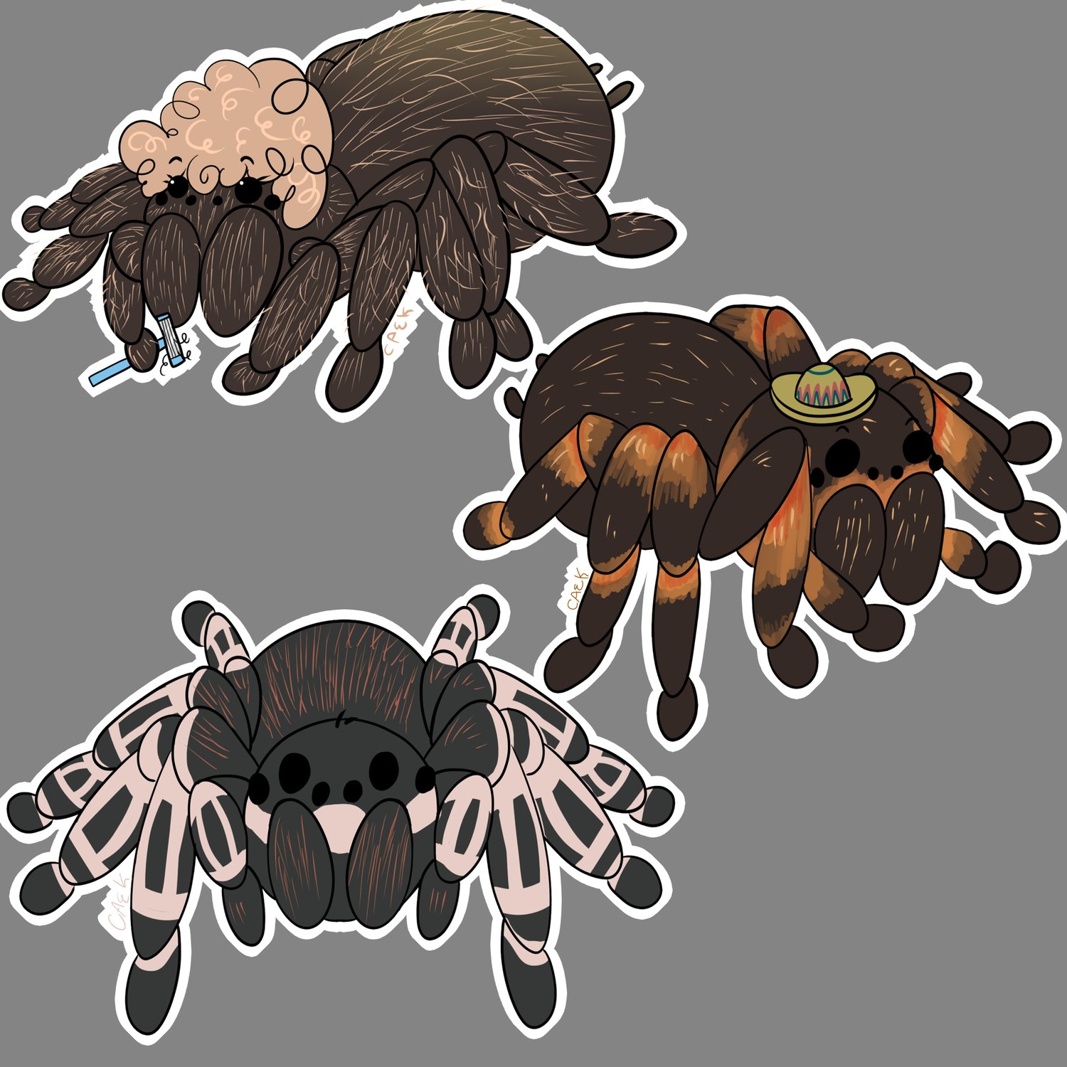 3pc Chibi Tarantula Stickers (Pack 1) | Caektoppre